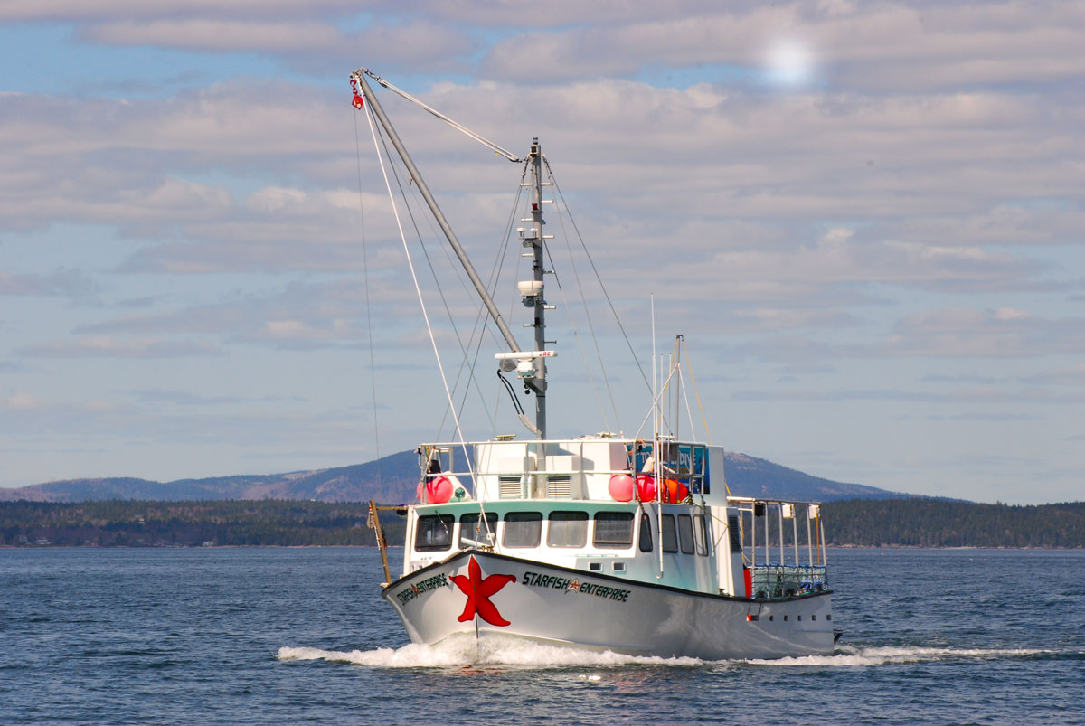 starfish enterprise boat